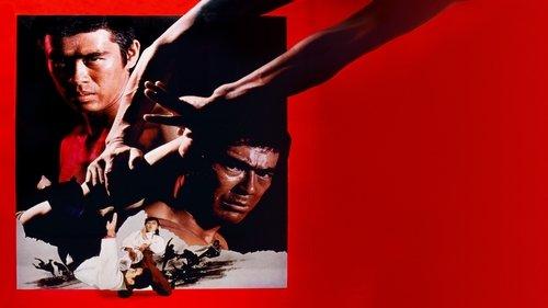 The Decisive Power of Aikido filmas žiurėti online