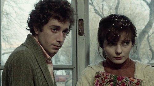 The Beach Guard in Winter filmas žiurėti online