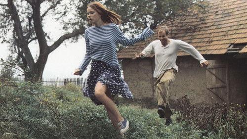 The Garden filmas žiurėti online