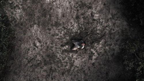 Urubú filmas žiurėti online