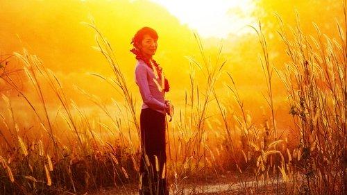 Ledi filmas žiurėti online