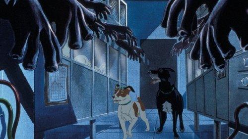 The Plague Dogs filmas žiurėti online