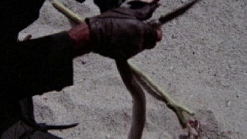 Hot Snake filmas žiurėti online