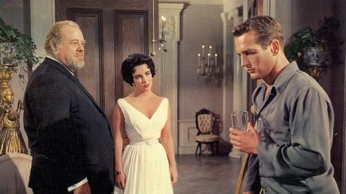 Cat on a Hot Tin Roof filmas žiurėti online