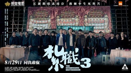 Triad 3 filmas žiurėti online