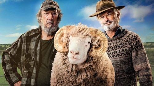 Rams filmas žiurėti online