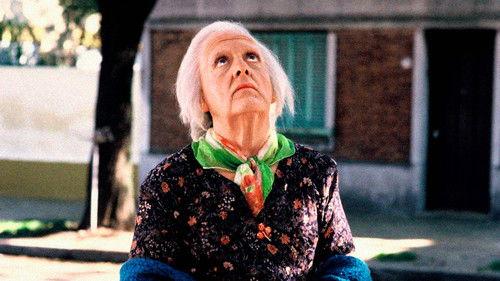 Esperando la carroza filmas žiurėti online