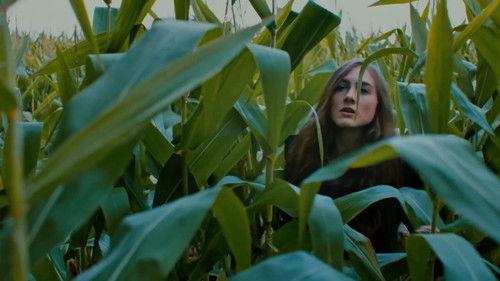 Falsely Accused filmas žiurėti online