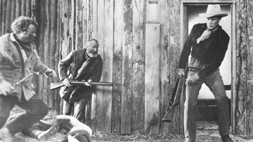 Springfield Rifle filmas žiurėti online