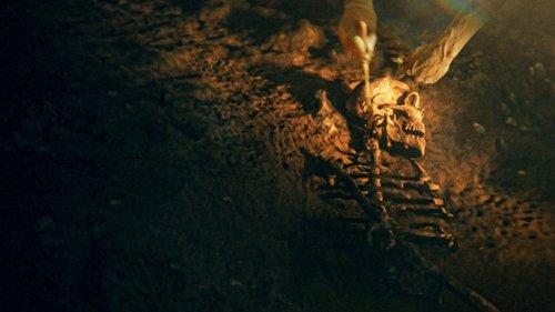 Secrets of the Neanderthals filmas žiurėti online