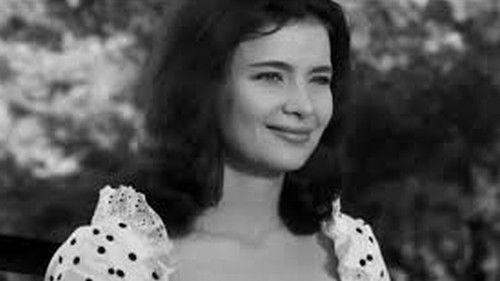 Snow White and the 7 Old Boys filmas žiurėti online