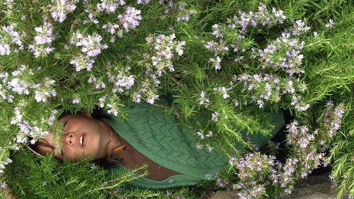 Times and Winds filmas žiurėti online