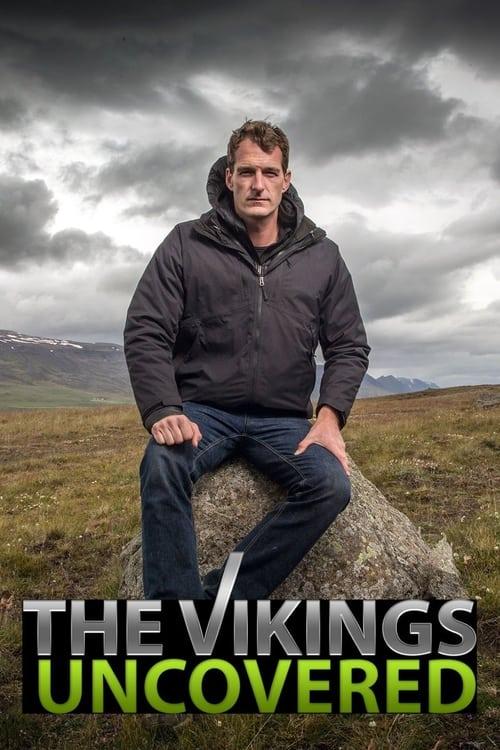 The Vikings Uncovered filmas online