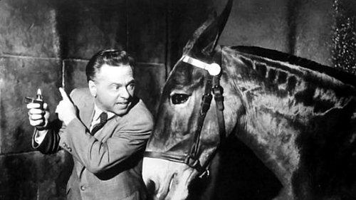 Francis in the Haunted House filmas žiurėti online