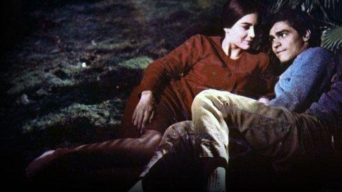 Assicurasi vergine filmas žiurėti online