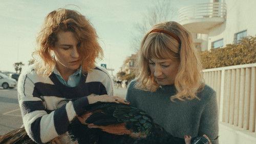 Il paradiso del pavone filmas žiurėti online