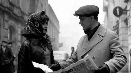 Back to Life Again filmas žiurėti online