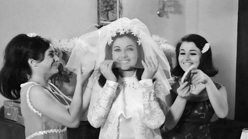 Crazy, Nuts and Vengos filmas žiurėti online