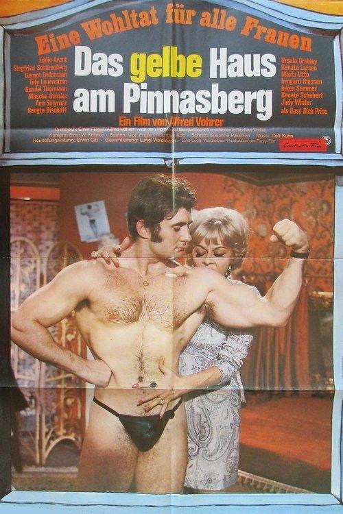 Das gelbe Haus am Pinnasberg filmas online