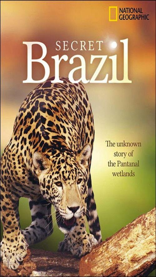 Secret Brazil – National filmas online