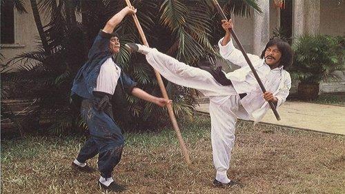 Tiger Over Wall filmas žiurėti online