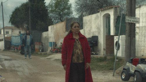 Mallorca Confidencial filmas žiurėti online