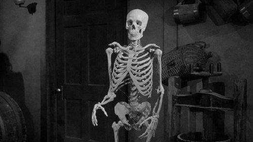 The Lost Skeleton of Cadavra filmas žiurėti online