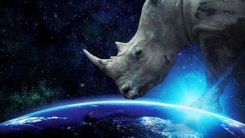 Why on Earth filmas žiurėti online