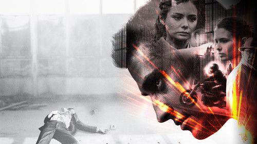 Мажор. Фильм filmas žiurėti online