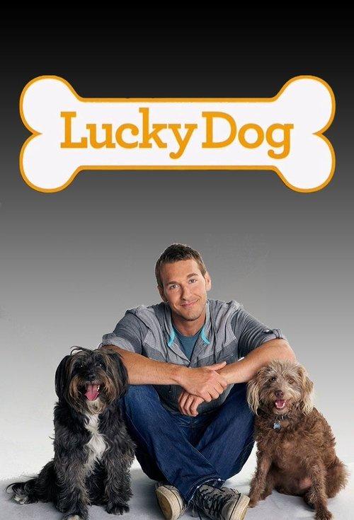 Lucky Dog filmas online