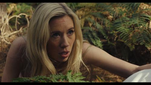 The Final Scream filmas žiurėti online