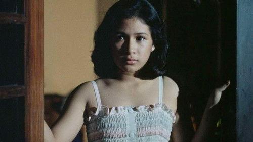 Shake, Rattle & Roll filmas žiurėti online