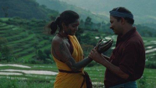 Enchantment filmas žiurėti online