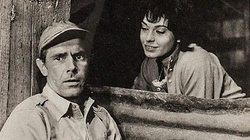 The Devil's Bedroom filmas žiurėti online