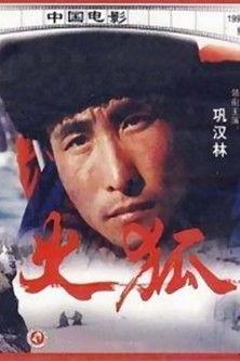 Sparkling Fox filmas online