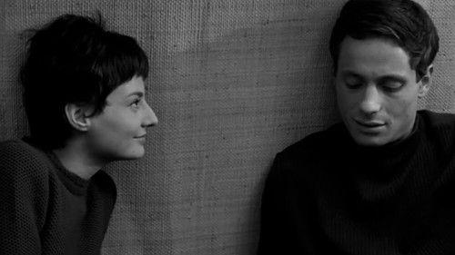 Apa filmas žiurėti online