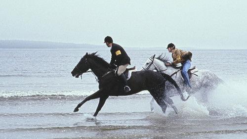 Virginia's Run filmas žiurėti online