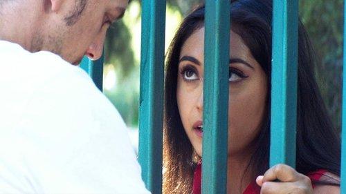 The Wall of Mexico filmas žiurėti online