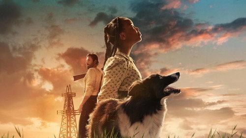 Sarah's Oil filmas žiurėti online