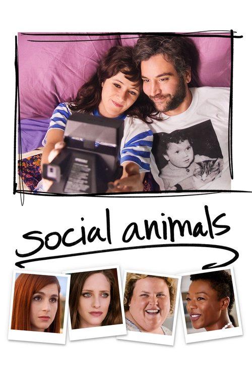 Socialūs gyvūnai filmas online