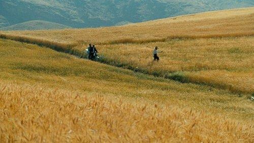 Te vėjas mus nuneš filmas žiurėti online