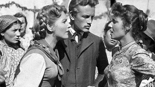 The Mill on the Po filmas žiurėti online