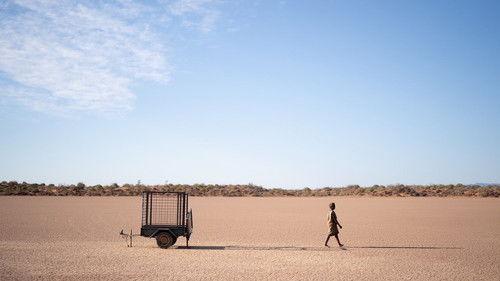 The Survival of Kindness filmas žiurėti online