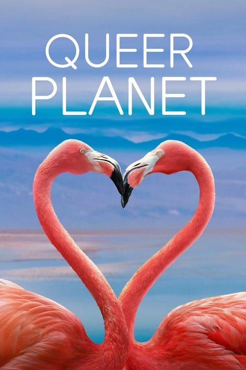 Queer Planet filmas online