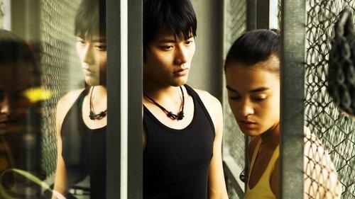 Yang Yang filmas žiurėti online