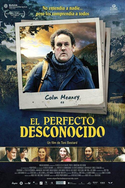 El perfecto desconocido filmas online