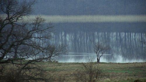 Nybyggarna filmas žiurėti online