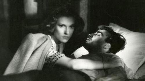 Fumeria d’oppio filmas žiurėti online