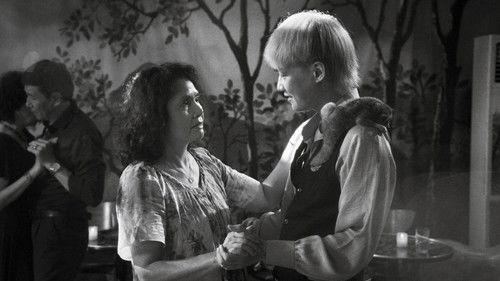 Cu li không bao giờ khóc filmas žiurėti online