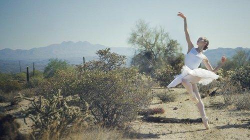 Driven to Dance filmas žiurėti online